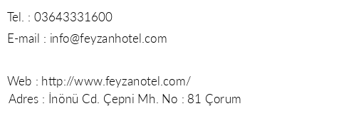 Feyzan Hotel telefon numaralar, faks, e-mail, posta adresi ve iletiim bilgileri